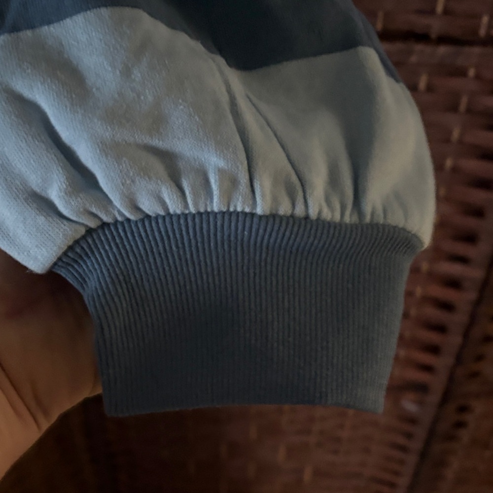 Striped Blue Cropped Sweatshirt with Strawberry Shortcake Design - Picture 6 of 7